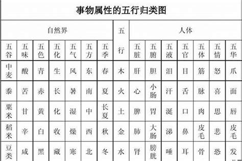 賢五行|贤字的五行属性